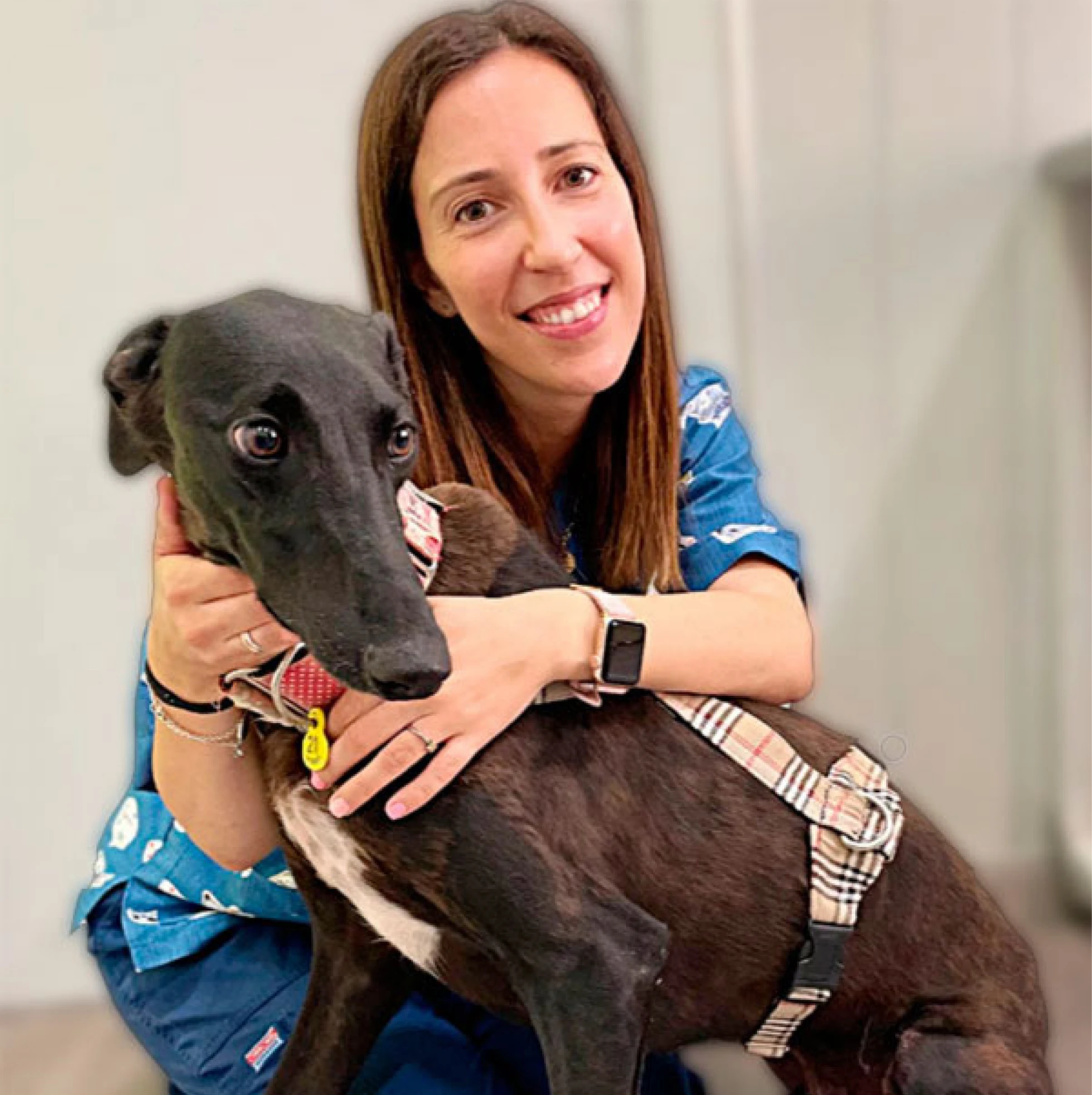 peluqueria canina en zaragoza symay
