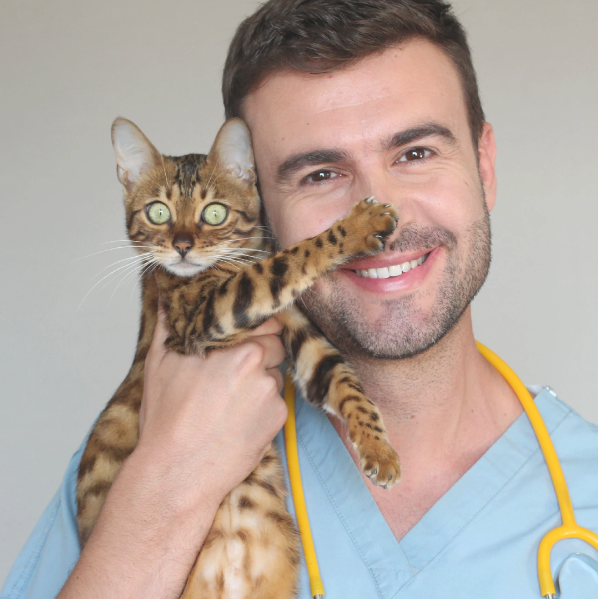 symay tu clinica veterinaria