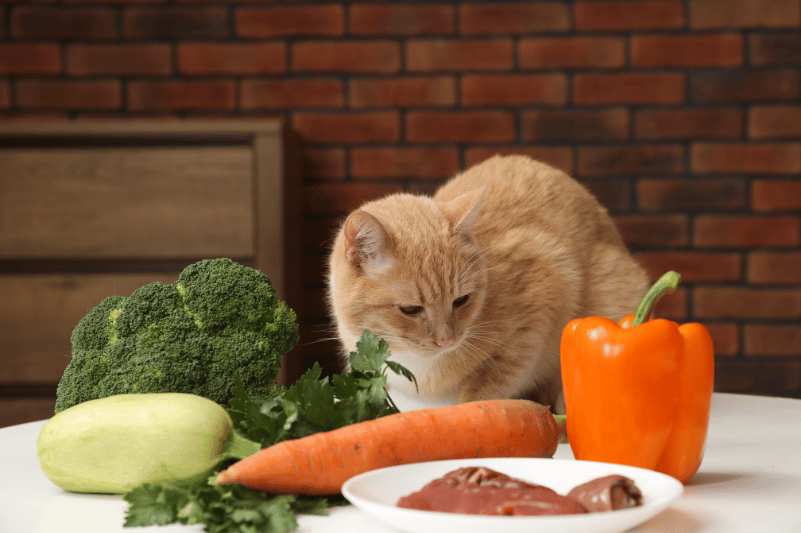 Alimentos prohibidos para gatos: qué no deben comer nunca